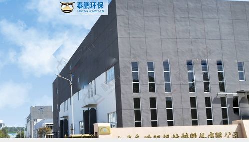 泰鹏环保劳务派遣超标与高管高薪引争议