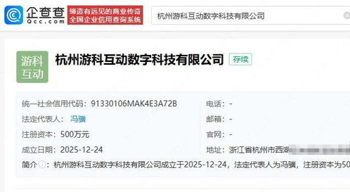 游戏科学成立新公司，拓展互联网游戏服务与动漫游戏开发新蓝图