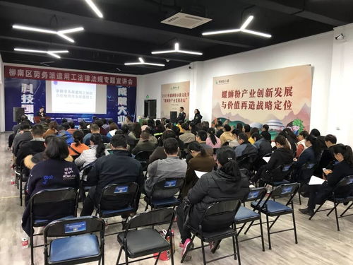 柳南区举办劳务派遣用工法律法规专题宣讲会，助力互联网信息服务行业规范发展