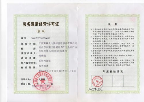 社保缴纳类型详解 个人与公司社保的险种差异及互联网信息服务